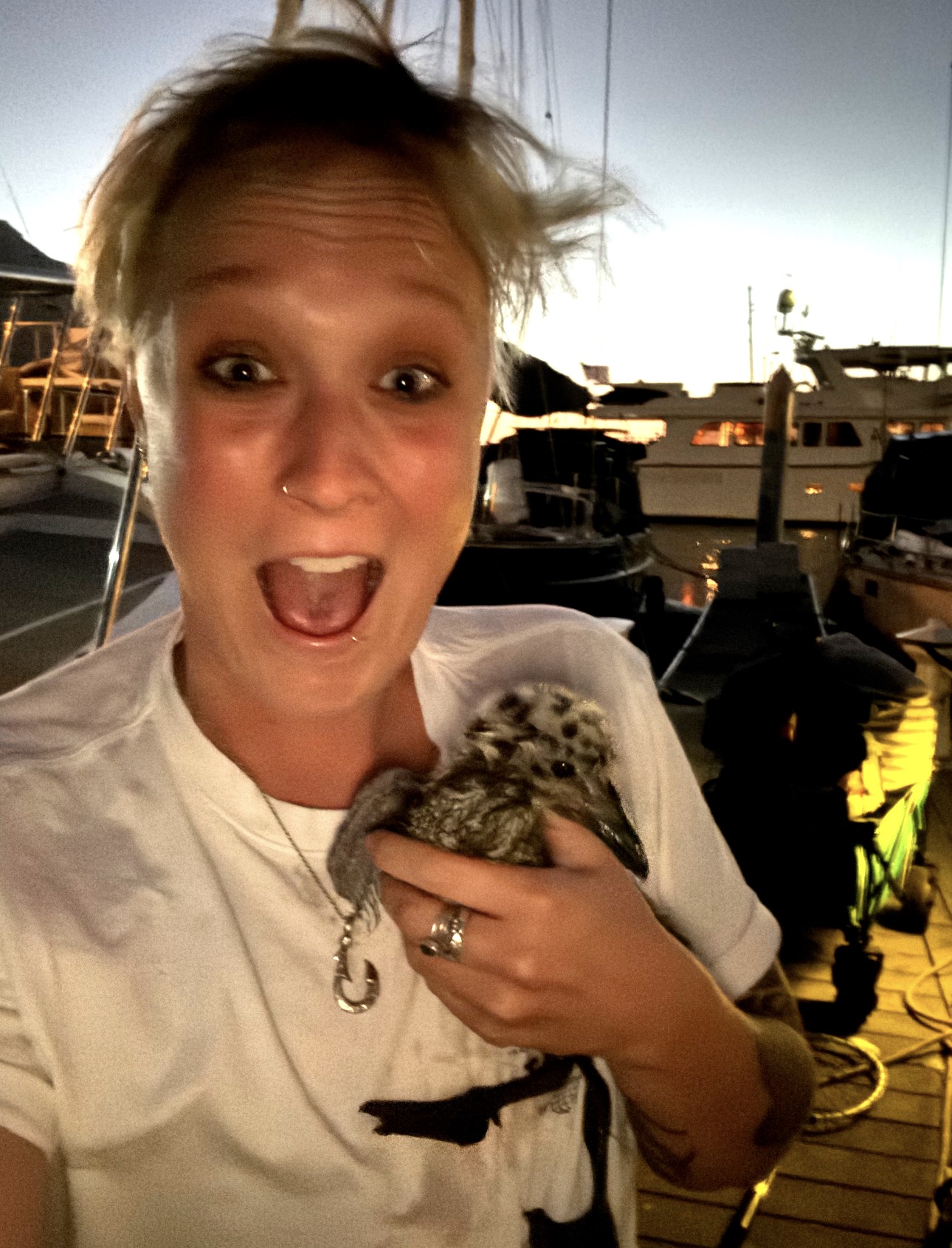 Holding a baby seabird on a marina dock at sunset